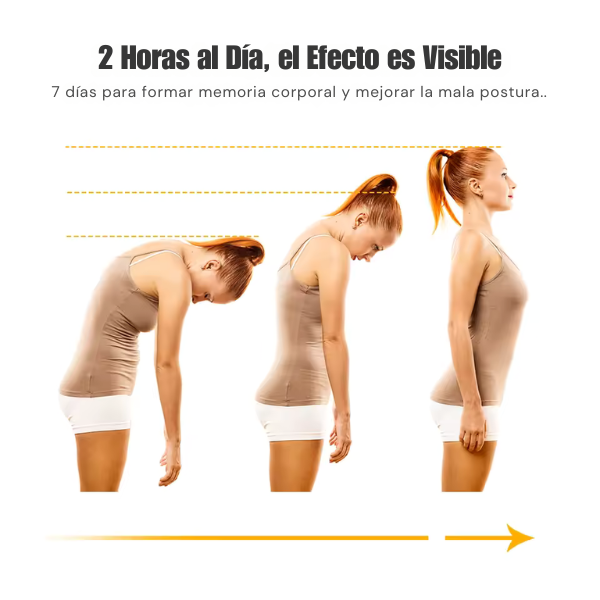 ErgoSense